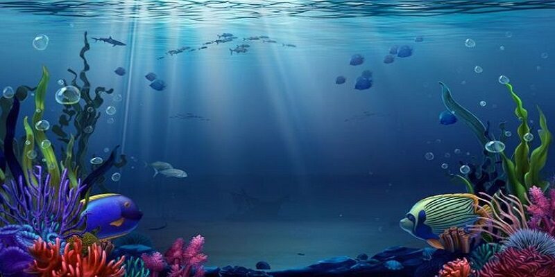 Mẹo giúp người dùng trải nghiệm đi săn hiệu quả